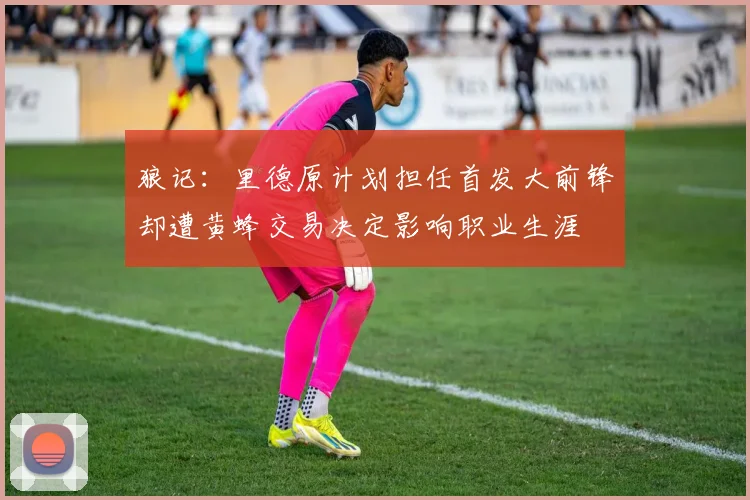 狼记：里德原计划担任首发大前锋却遭黄蜂交易决定影响职业生涯