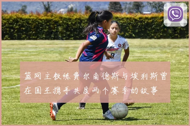 篮网主教练费尔南德斯与埃利斯曾在国王携手共度两个赛季的故事